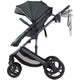 Carucior Chipolino Amore 2 in 1 basil