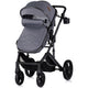 Carucior Chipolino Amore 2 in 1 cloud grey