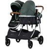 Carucior gemeni Chipolino Duo Smart 2 in 1 basil