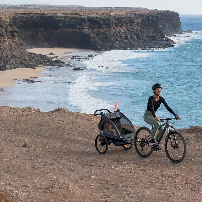 Carucior si remorca de bicicleta, Lionelo, Cama, Multifunctional, Pentru 1 sau 2 copii, Cu sistem de absorbtie a socurilor SIQ, Geamuri cu protectie solara, Gri