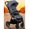 Carucior sport, FreeON, Dynamic Pliabil automat, De la nastere pana la 22 kg, Cu spatar reglabil in 3 pozitii, Grey