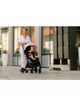 Carucior sport, FreeON, Tao, Pana la 22 Kg, 6.9 Kg, Cu maner pentru transport, Conform cu standardul european EN, Black