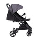Carucior sport, FreeON, Tao, Pana la 22 Kg, 6.9 Kg, Cu maner pentru transport, Conform cu standardul european EN, Grey