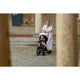 Carucior sport, FreeON, Tao, Pana la 22 Kg, 6.9 Kg, Cu maner pentru transport, Conform cu standardul european EN, Pink