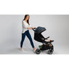 Carucior sport, Lionelo, Cloe, Cu accesorii, Cadru din aluminiu, Pana la 22 kg, Usor, Pliere compacta pentru avion, cu o singura mana, Ideal pentru toate tipurile de suprafete, 6 luni+, Bej - gogobaby.ro