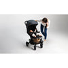 Carucior sport, Lionelo, Cloe, Cu accesorii, Cadru din aluminiu, Pana la 22 kg, Usor, Pliere compacta pentru avion, cu o singura mana, Ideal pentru toate tipurile de suprafete, 6 luni+, Bej - gogobaby.ro