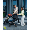 Carucior sport, Lionelo, Cloe, Cu accesorii, Cadru din aluminiu, Pana la 22 kg, Usor, Pliere compacta pentru avion, cu o singura mana, Ideal pentru toate tipurile de suprafete, 6 luni+, Gri