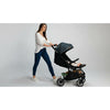 Carucior sport, Lionelo, Cloe, Cu accesorii, Cadru din aluminiu, Pana la 22 kg, Usor, Pliere compacta pentru avion, cu o singura mana, Ideal pentru toate tipurile de suprafete, 6 luni+, Maro - gogobaby.ro