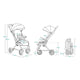 Carucior sport, Lionelo, Cloe, Golden Moments, Editie limitata, Cu accesorii, Cadru din aluminiu, Pana la 22 kg, Usor, Pliere compacta pentru avion, cu o singura mana, Ideal pentru toate tipurile de suprafete, 6 luni+, Negru