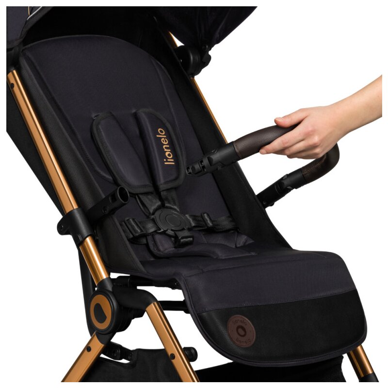 Carucior sport, Lionelo, Cloe, Golden Moments, Editie limitata, Cu accesorii, Cadru din aluminiu, Pana la 22 kg, Usor, Pliere compacta pentru avion, cu o singura mana, Ideal pentru toate tipurile de suprafete, 6 luni+, Negru - gogobaby.ro