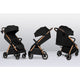 Carucior sport, Lionelo, Ingrid, Capotina impermeabila cu filtru UPF50+, Pana la 22 Kg, Spatar reglabil in 3 pozitii, Include suport pahar si plasa de tantari, Sistem pentru pliere automata, 6 luni+, Negru