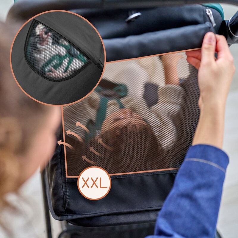 Carucior sport, Lionelo, Mira, Maner reglabil in 5 pozitii, Spatar si suport de picioare reglabile, Plasa de tantari si suport biberon incluse, Pana la 22 kg, 6 luni+, Conform cu EN1888-1, EN1888-2, Testare SGS, Roz - gogobaby.ro