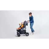 Carucior sport, Lionelo, Natt, De la nastere, Cu accesorii si capotina XXL reglabila, 0 - 22 kg, Conform cu standardele europene de securitate EN1888-1, EN1888-2, Verde