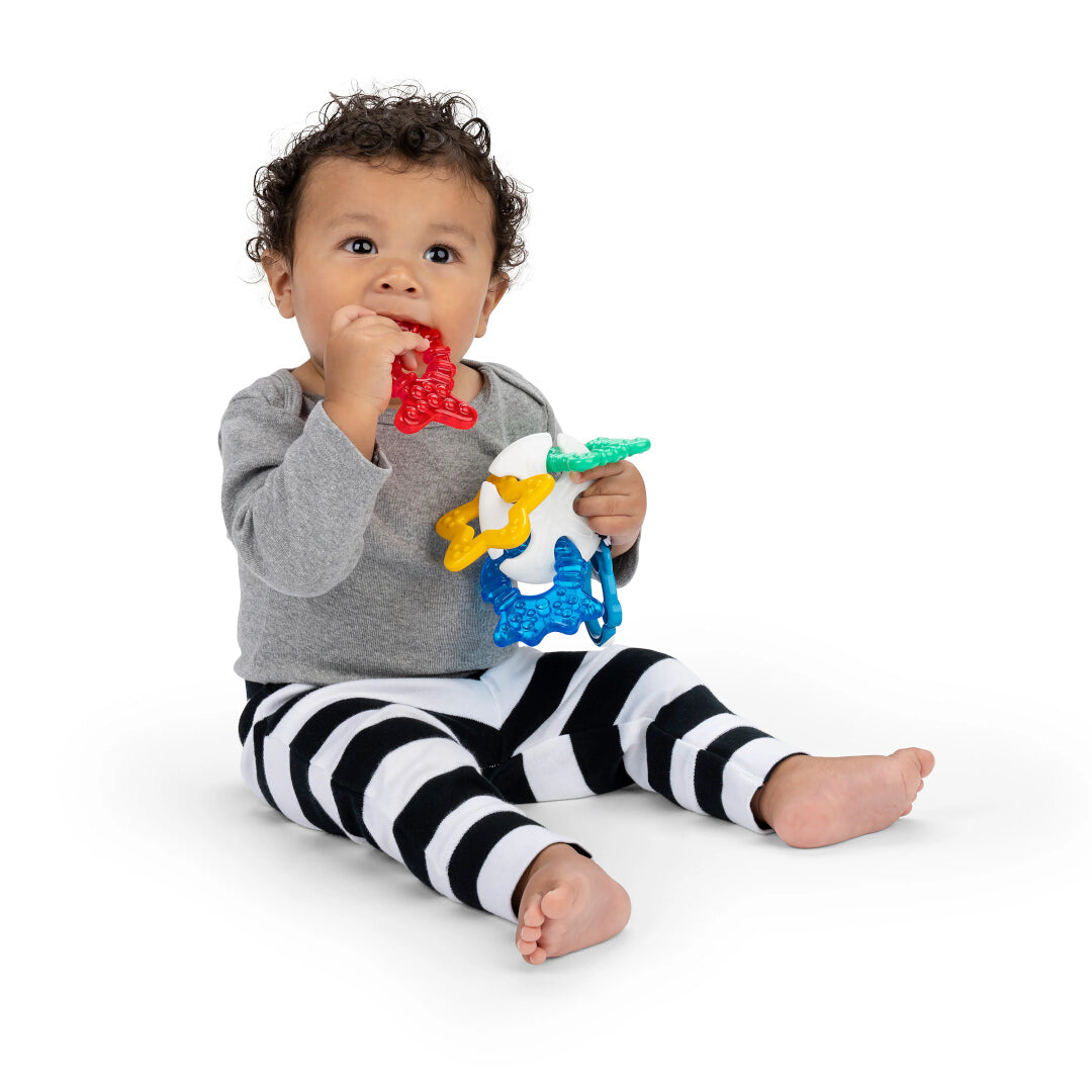 Baby Einstein - Jucarie de Dentitie Ocean Explorers Sea of Sensory - gogobaby.ro
