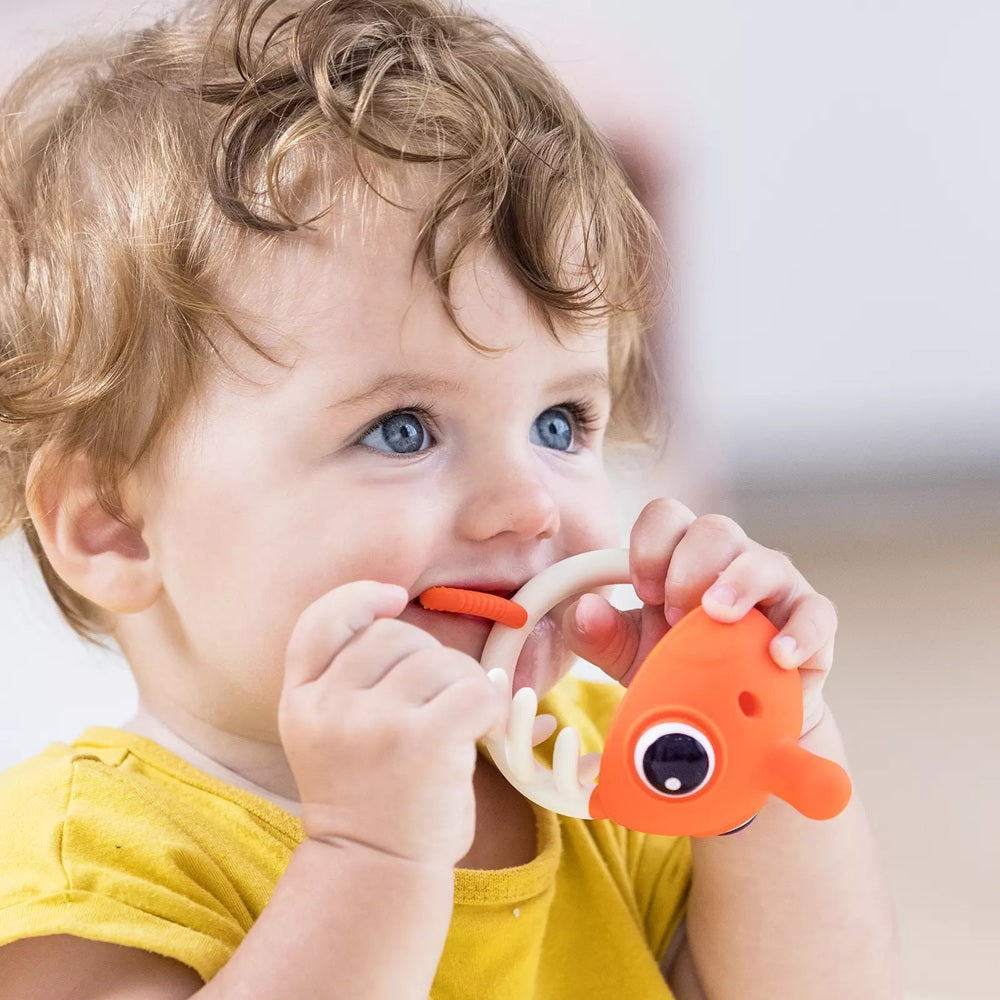 Inel Gingival Din Silicon, Mombella, Clownfish Orange - gogobaby.ro