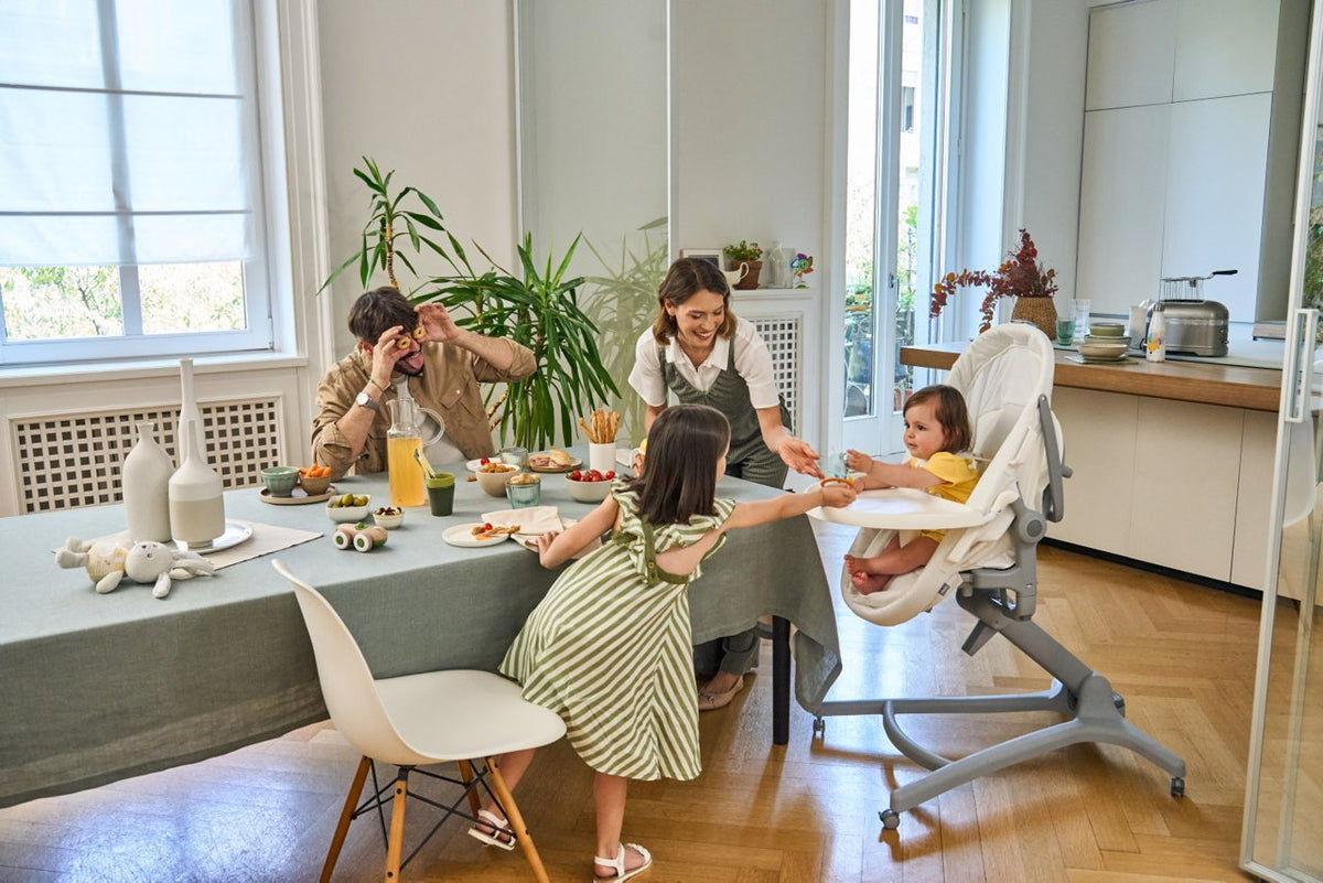 Cosulet multifunctional 5 in 1 Chicco Baby Hug Pro, EarlGrey (Gri), 0luni+ - gogobaby.ro