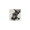 Carucior sport, Petite&Mars, Travel, Ultra-usor, 5 9 kg, 6-36 luni, Compact, Conform cu standardul EN 1888: 2018, Shadow Grey