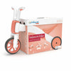 Tricicleta copii, Chillafish, Bunzi Matte, 2 in 1, Transformabila in bicicleta fara pedale, Cu sa reglabila, Cu mic compartiment in sa, 1.9 Kg, Pentru 1-3 ani, Flamingo - gogobaby.ro