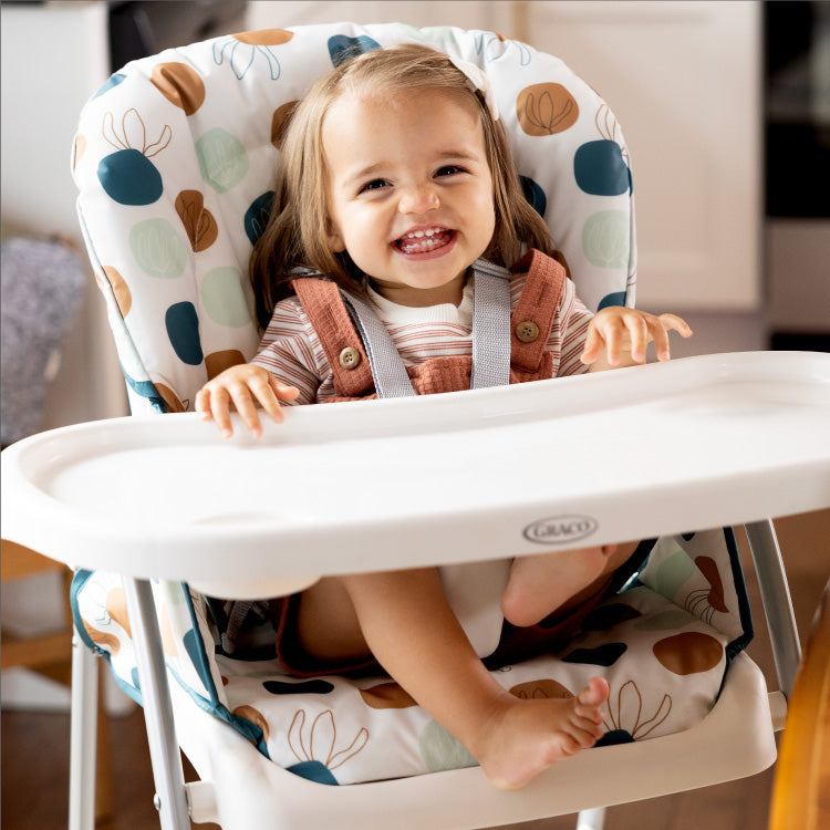 Graco -  Scaun de masa SnackEase Organza