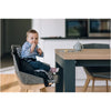 Inaltator scaun masa, FreeON, Fold and Go, Portabil 2 in 1, Conform cu standardele europene EN16120, EN71-3:2021, Black and White - gogobaby.ro