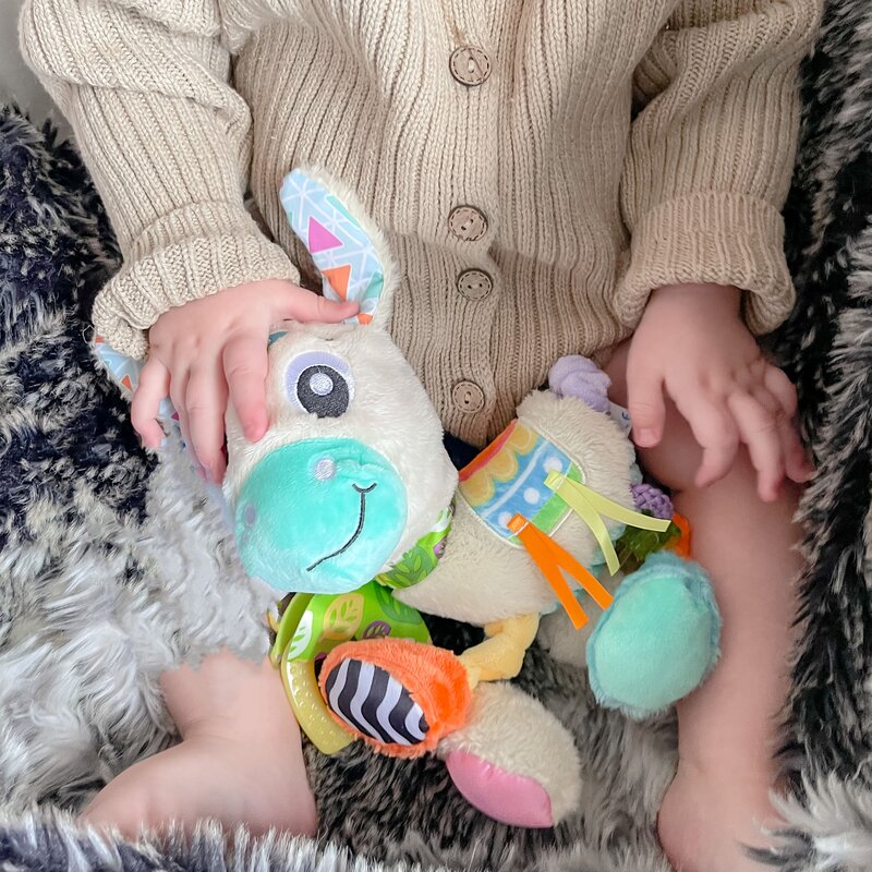Jucarie carucior sau scaun auto, Playgro, Cu inele pentru dentitie, Cu diverse forme si texturi, Cu sunete si zornaieli, Dezvolta abilitatile motorii si imaginatia, 0 luni+, Sensory Friend Lupe Llama - gogobaby.ro