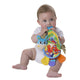 Jucarie din plus, Playgro, Clip Clop, Carticica tactila, Stimuleaza dezvoltarea senzoriala, Cu inele pentru dentitie, Cu diverse forme si texturi, 3 luni+, Musical Clip Clop Teether Book