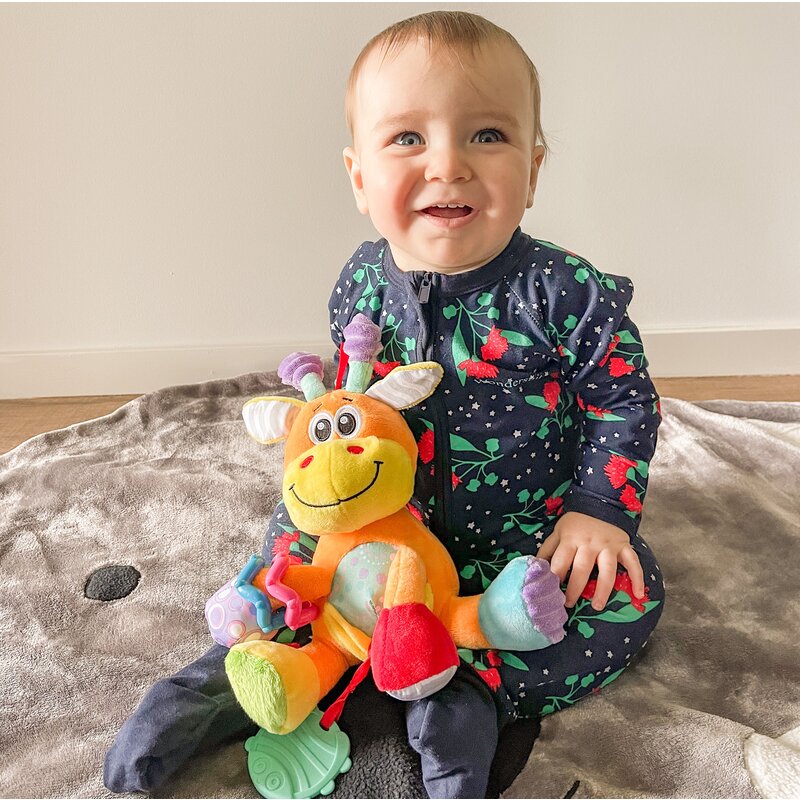 Jucarie din plus, Playgro, Discovery, Stimuleaza dezvoltarea senzoriala, Cu inele pentru dentitie, Cu diverse forme si texturi, 0 luni+, Discovery Friend Giraffe