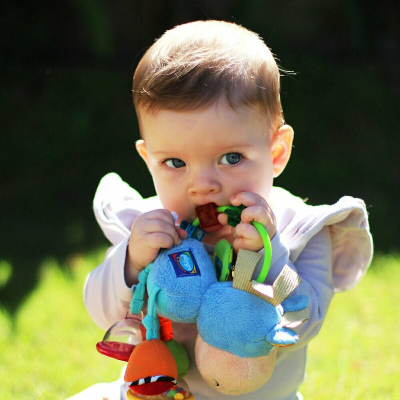 Jucarie zornaitoare si de dentitie, Playgro, Cu activitati, Cu jucarii de dentitie, Cu margele, Cu diferite texturi, Clip Clop Activity Rattle, 11 cm - gogobaby.ro