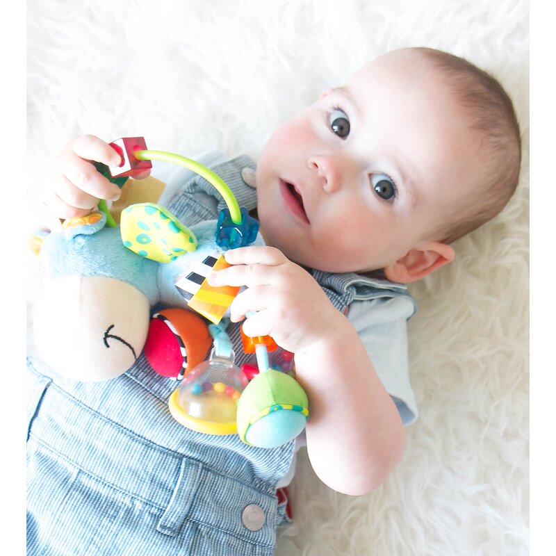 Jucarie zornaitoare si de dentitie, Playgro, Cu activitati, Cu jucarii de dentitie, Cu margele, Cu diferite texturi, Clip Clop Activity Rattle, 11 cm - gogobaby.ro