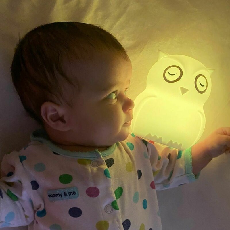 Lampa de veghe, BBluv, Bufnita, Hibu, Functionare pana la 10 ore, Cu telecomanda si cablu USB, Cu 9 culori diferite activate prin control Touch, White - gogobaby.ro
