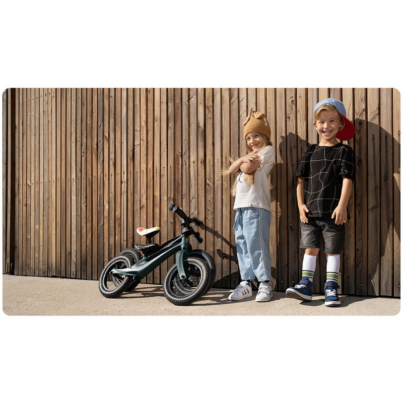 Bicicleta fara pedale, Lionelo, Bart Air, Usoara, Cu roti gonflabile, Cu cadru din magneziu, Cu ghidon si sa reglabile, Greutate 3.8 Kg, 12 inch, Conform cu standardul european de securitate EN71, Green Forest - gogobaby.ro