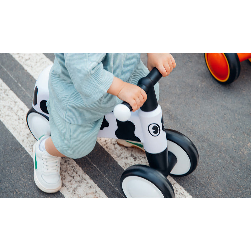 Bicicleta fara pedale, Lionelo, Sammy, Cu 4 roti, Din spuma EVA, Stabila, Manere moi, antiderapante, 12- 36 luni, Greutate maxima suportata 25 kg, Certificata EN 71-1:2014, EN 71-2:2011, EN 71-3:2019, Alb - gogobaby.ro