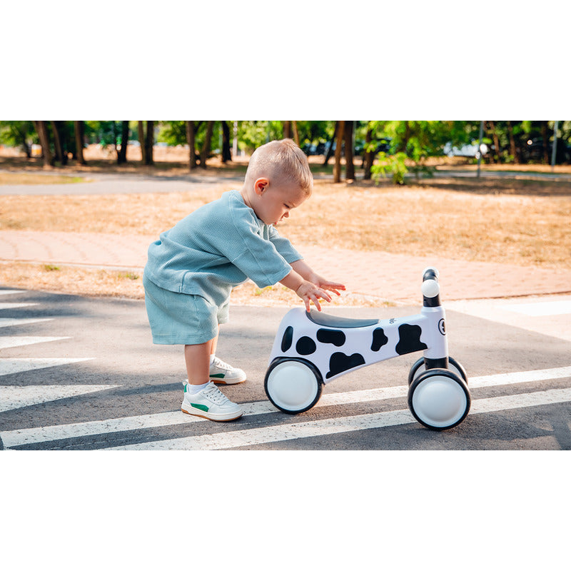 Bicicleta fara pedale, Lionelo, Sammy, Cu 4 roti, Din spuma EVA, Stabila, Manere moi, antiderapante, 12- 36 luni, Greutate maxima suportata 25 kg, Certificata EN 71-1:2014, EN 71-2:2011, EN 71-3:2019, Alb - gogobaby.ro