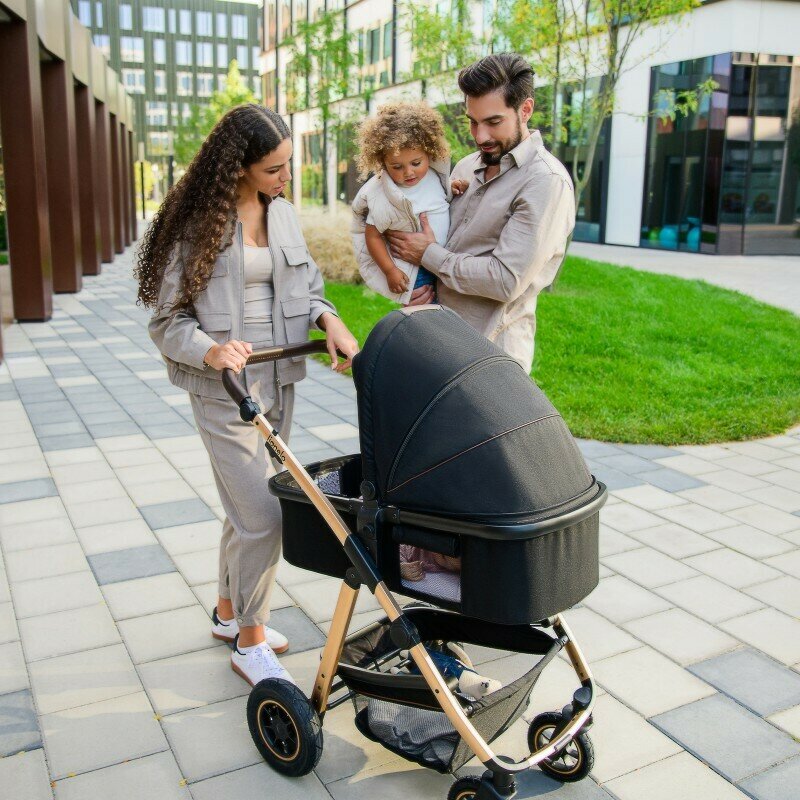 Carucior 3 in 1, Lionelo, Amber, Cadru aluminiu, Cu landou intarit si salteluta moale, Cu scoica auto testata ADAC, Reversibil, Cu accesorii, Geanta parinti, Pana la 22 kg, EN1888-1 EN1888-2 EN1466 ECE R129, Negru onyx - gogobaby.ro