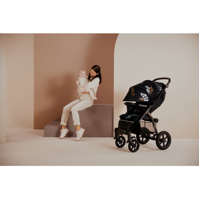 Carucior sport, Lionelo, Annet Tour Golden Moments, Editie Limitata, 0 luni+, Capotina impermeabila UPF 50+, Maner reglabil, Plasa de tantari, Suport biberon, Saculet pentru picioare, Pana la 22 kg, Certificare TUV, Negru - gogobaby.ro