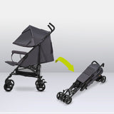 Carucior sport, Lionelo, Elia, Cu plasa de tantari, Suport de picioare reglabil, Spatar ajustabil in 4 pozitii, Capotina XXL, Pliere tip umbrela, Capacitate 15 kg, 6 luni+, EN 1888, Model papadie, Gri