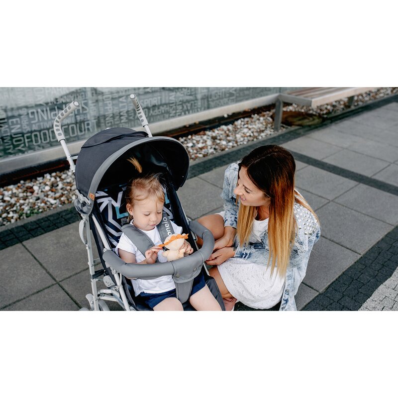 Carucior sport, Lionelo, Elia, Cu plasa de tantari, Suport de picioare reglabil, Spatar ajustabil in 4 pozitii, Capotina XXL, Pliere tip umbrela, Capacitate 15 kg, 6 luni+, EN 1888, Gri - gogobaby.ro