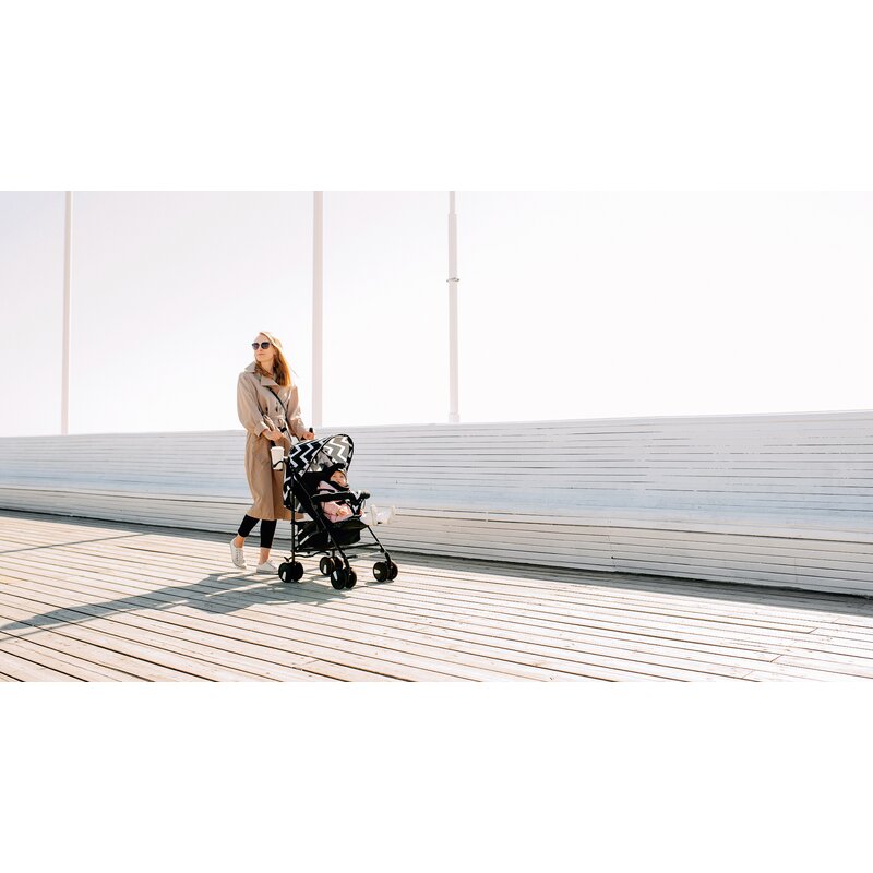 Carucior sport, Lionelo, Elia Oslo, Cu plasa de tantari, Conform cu standardul european de securitate EN1888-1, Negru - gogobaby.ro