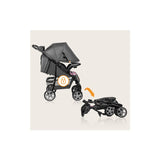 Carucior sport, Lionelo, Emma Plus, Cu tavita, 2 Suporturi pentru pahar, Geanta accesorii, Conform cu standardul european de securitate EN1888-1, Pink Scandi
