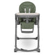 Scaun de masa, Lionelo, Cora Plus, Multifunctional, Reglabil in 4 pozitii pe inaltime, Spatar reglabil in 3 pozitii, Cu bara de jucarii, Pliabil, Conform cu standardul european de securitate EN14988, Verde