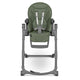 Scaun de masa, Lionelo, Cora Plus, Multifunctional, Reglabil in 4 pozitii pe inaltime, Spatar reglabil in 3 pozitii, Cu bara de jucarii, Pliabil, Conform cu standardul european de securitate EN14988, Verde