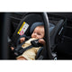 Scoica auto, Lionelo, i-Size Astrid, 0-13 Kg, 40-87 cm, Cu salteluta, Testat ADAC, Conform cu standardul european de securitate R129, Negru/Gri