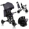 Tricicleta copii, Lionelo, Tris Plus, Ultrapliabila, Multifunctionala, Pana la 25 kg, Inclinare spatar in fata si in spate, Suport picioare, Control al directiei, Scaun reversibil, Rotire 360 grade, Conform cu EN71, 9 luni-5 ani, Gri