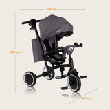 Tricicleta copii, Lionelo, Tris Plus, Ultrapliabila, Multifunctionala, Pana la 25 kg, Inclinare spatar in fata si in spate, Suport picioare, Control al directiei, Scaun reversibil, Rotire 360 grade, Conform cu EN71, 9 luni-5 ani, Gri