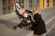 Carucior sport Estelle, Momi, Grey