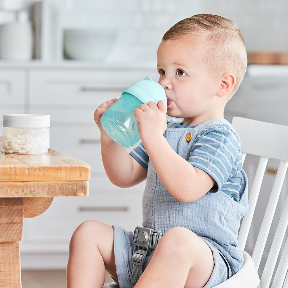 Skip Hop - Set 2 in 1 - cana si recipient alimente - gogobaby.ro