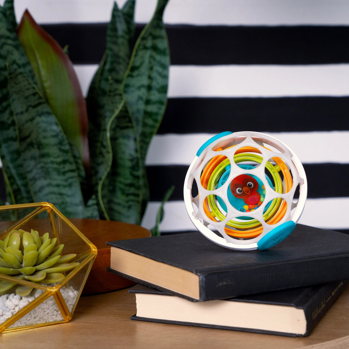 Baby Einstein - Minge zornaitoare Oball Grip & Spin - gogobaby.ro