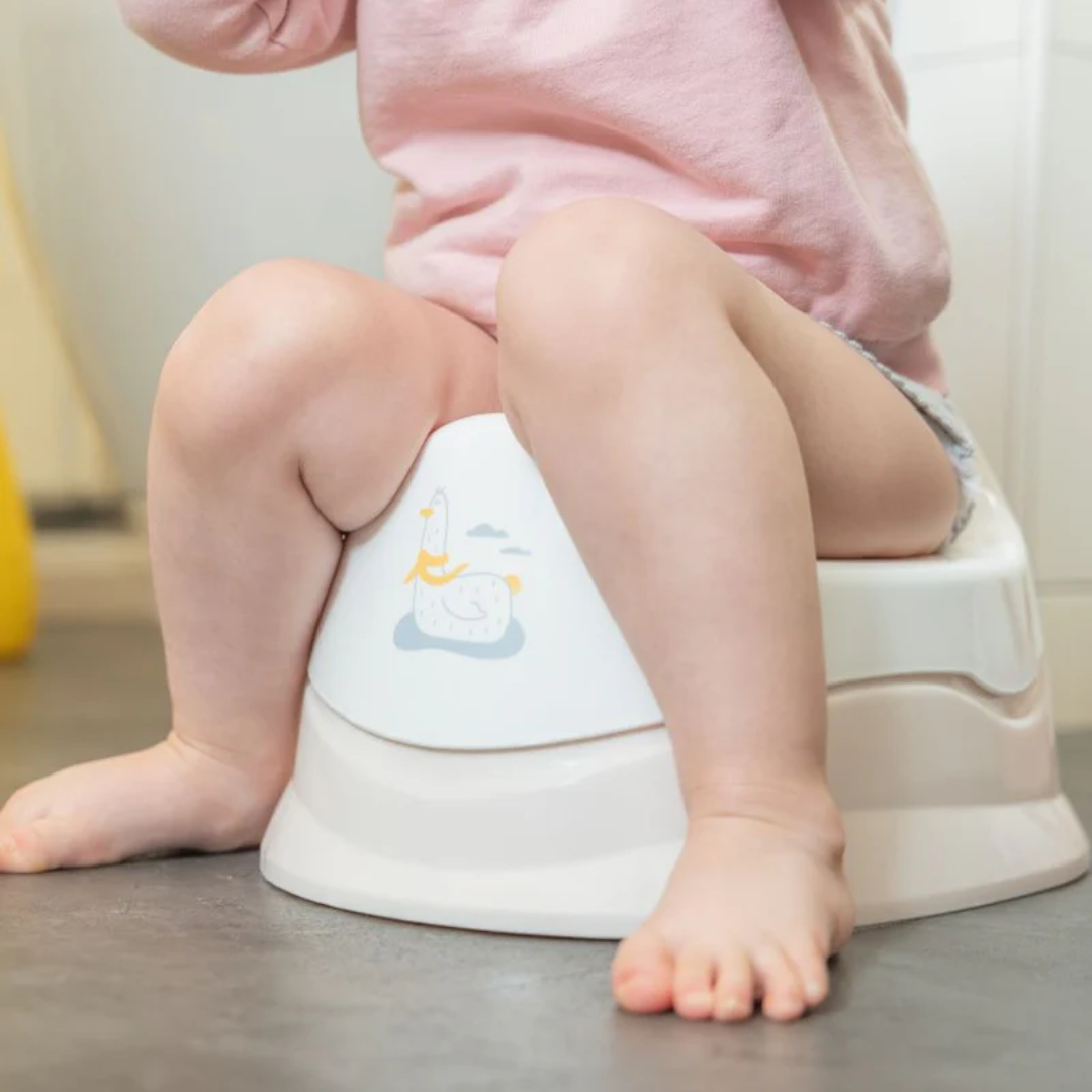 Badabulle - Olita ergonomica cu vas detasabil, Pescarus - gogobaby.ro