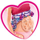 Papusa Simba Steffi Love Welcome Twins 29 cm cu accesorii