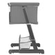 Patut co-sleeper, Lionelo, Thomi Plus, 5 in 1, Multifunctional, Sustine pana la 9 kg ca patut, 15 kg tarc de joaca, 100 kg canapea, Inaltime reglabila in 7 pozitii, De la nastere pana la 4 ani, Cu 2 saltele din spuma T25, 94x70x77-93,5 cm, Gri